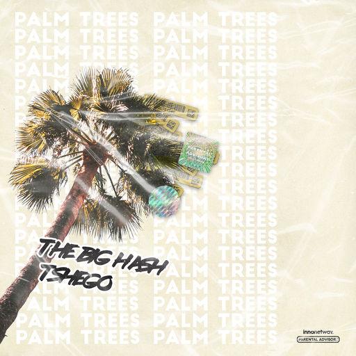 The Big Hash - Palm Trees (feat. Tshego)